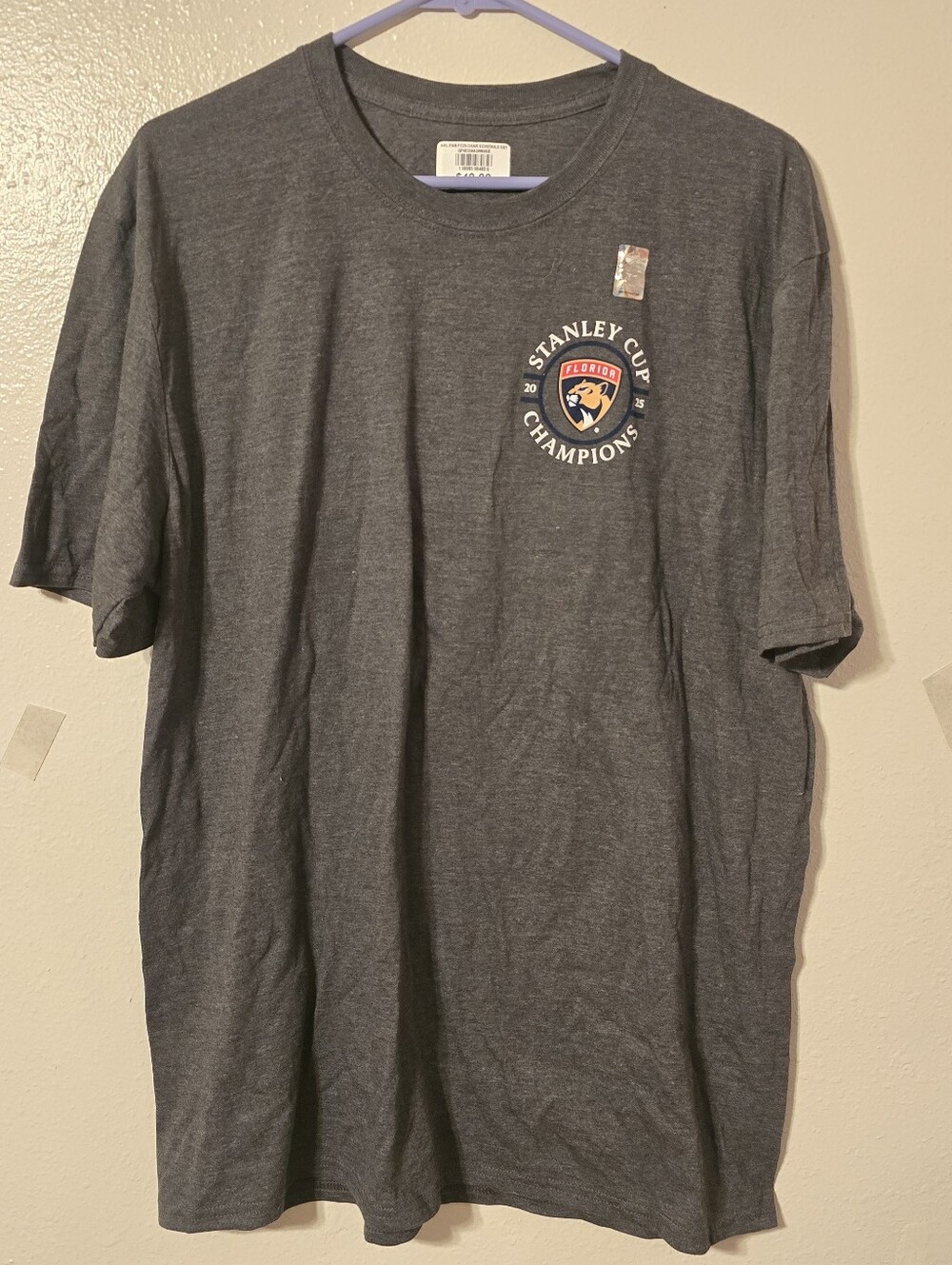NWT Official NHL Florida Panthers 2024 Stanley Cup Champions T-Shirt - Charcoal